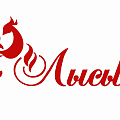 Плита "Лысьва" (запчасти) Плита "Лысьва" (запчасти)