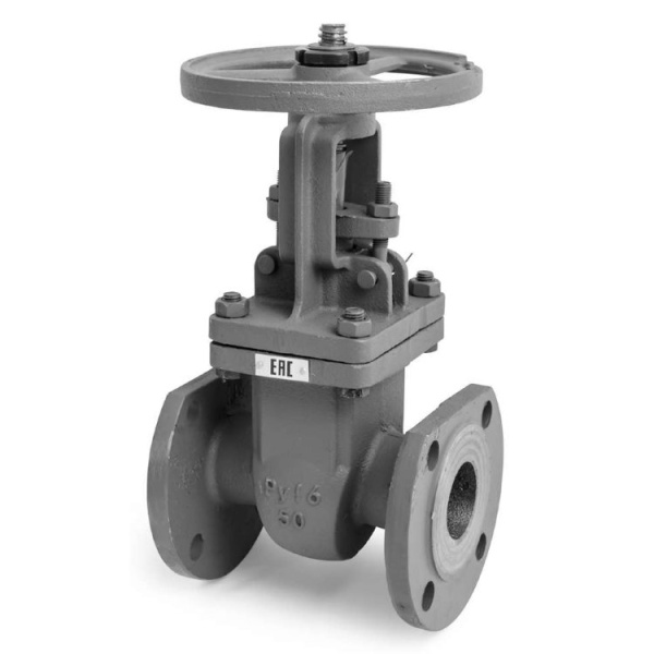 Задвижка ДУ 50