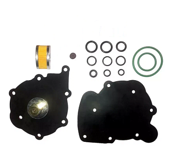 Ремкомплект редуктора Tomaseto Nordic АТ09 (без крышки)