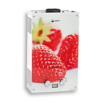 Водонагреватель газовый проточный WERT 10EG BERRY