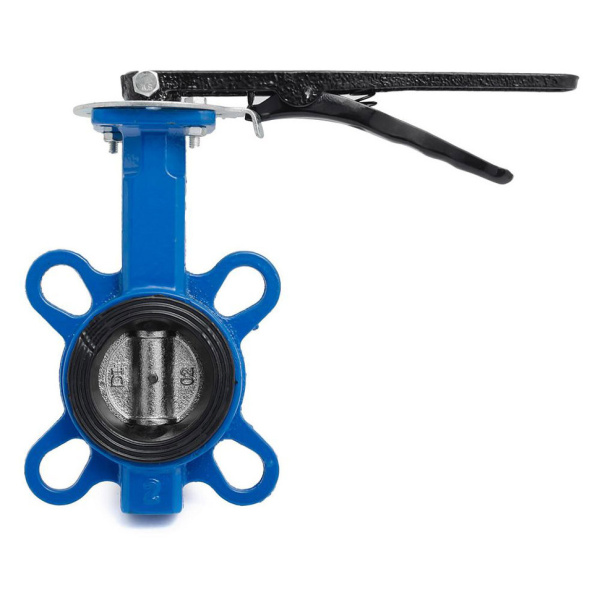 Затвор ДУ 80